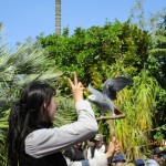 IMG_8036-2-Copy