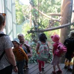 IMG_8050-2-Copy