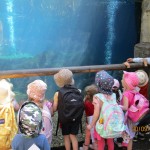 IMG_8051-2-Copy