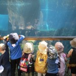 IMG_8052-2-Copy
