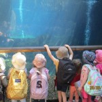 IMG_8053-2-Copy