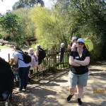 IMG_8054-2-Copy