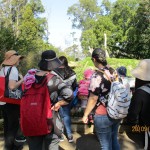 IMG_8055-2-Copy